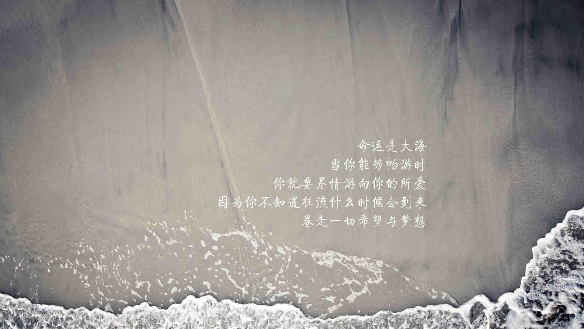 _国际城市赛：城市间的友谊与竞争_，城市之间国际总决赛