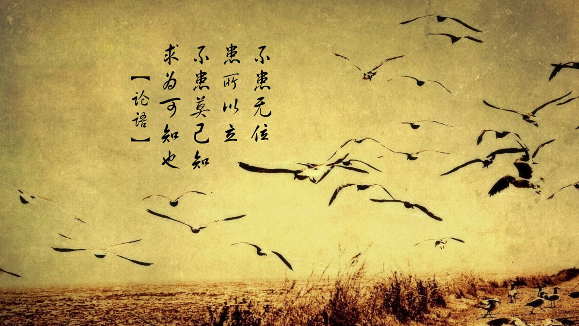 _全民趣味拉丁舞：动感节奏引爆全民热潮_，趣味拉丁舞教学
