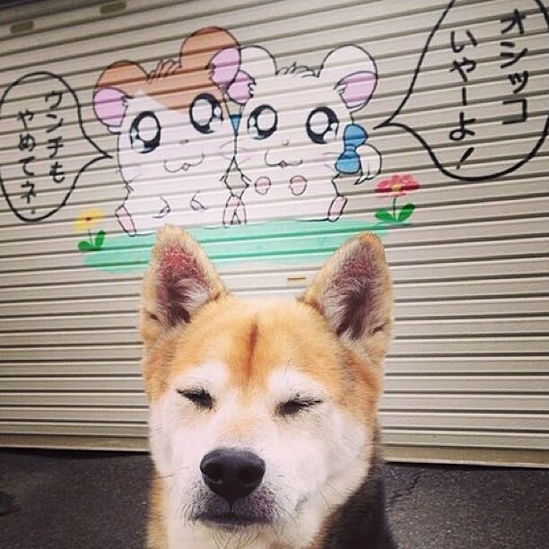 九游app下载中心-_开场即发难，快船压制对手整场_，快船队内单挑