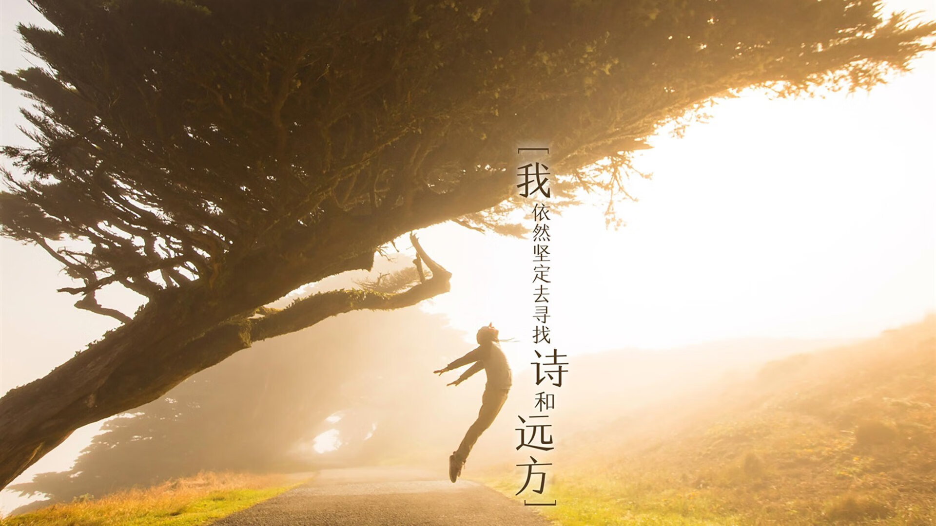 _瑞士草地赛：盛夏中的田园盛宴，精彩纷呈_，瑞士 草原