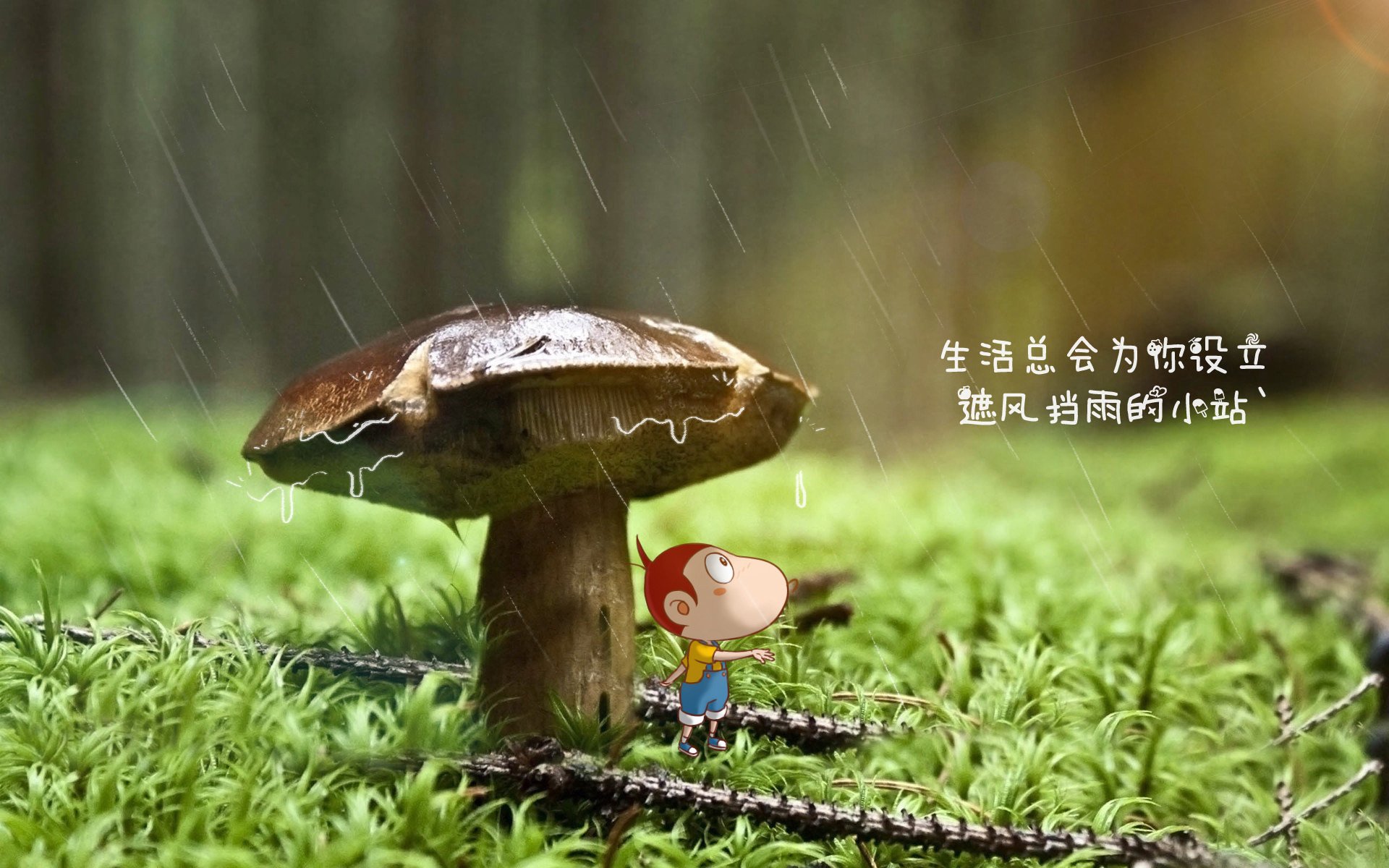 半场比分：54-51，北京队略占优势，激烈对抗持续升温！，北京单场比分500