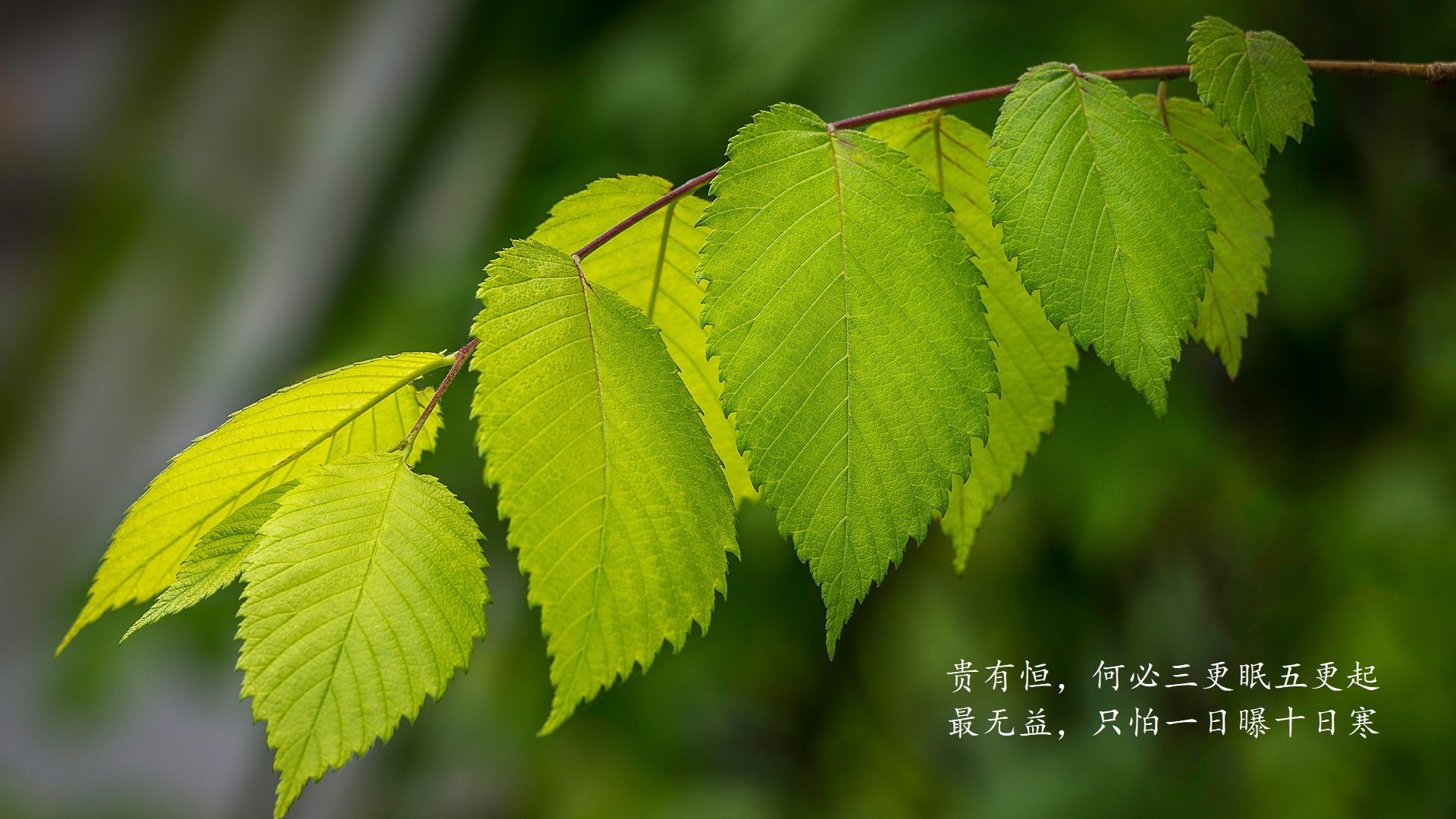 电竞选手公益行动：回馈社会，传递爱心，电竞圈捐款名单