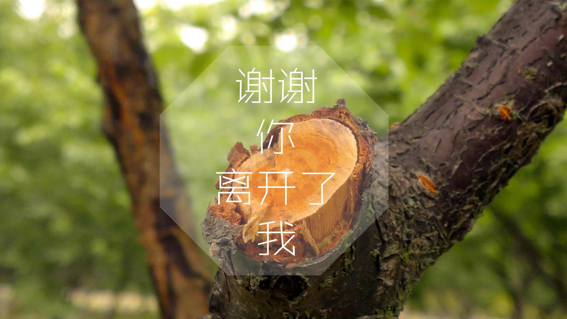 亚洲篮球冠军杯季后赛，强队实力碾压对手，亚洲篮球俱乐部冠军杯2019