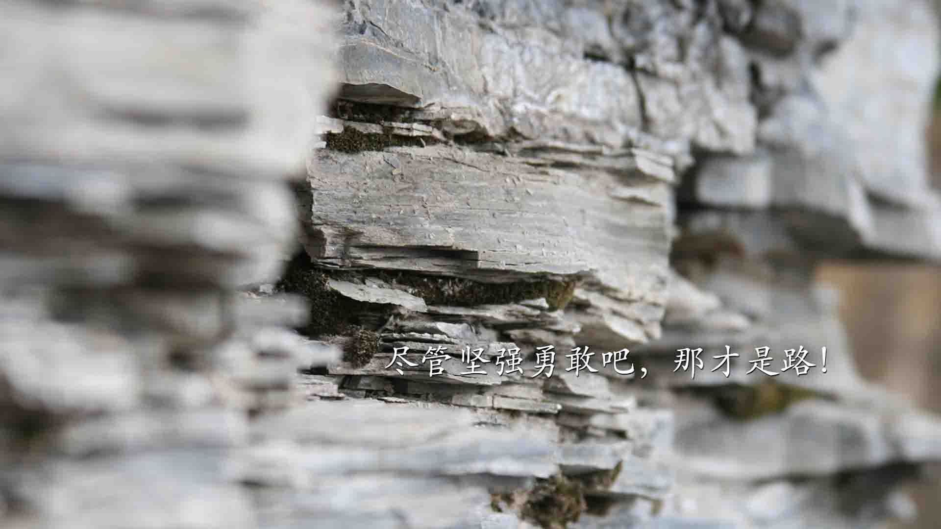 篮球专项体能训练恢复技术研究与应用案例，篮球比赛体能训练