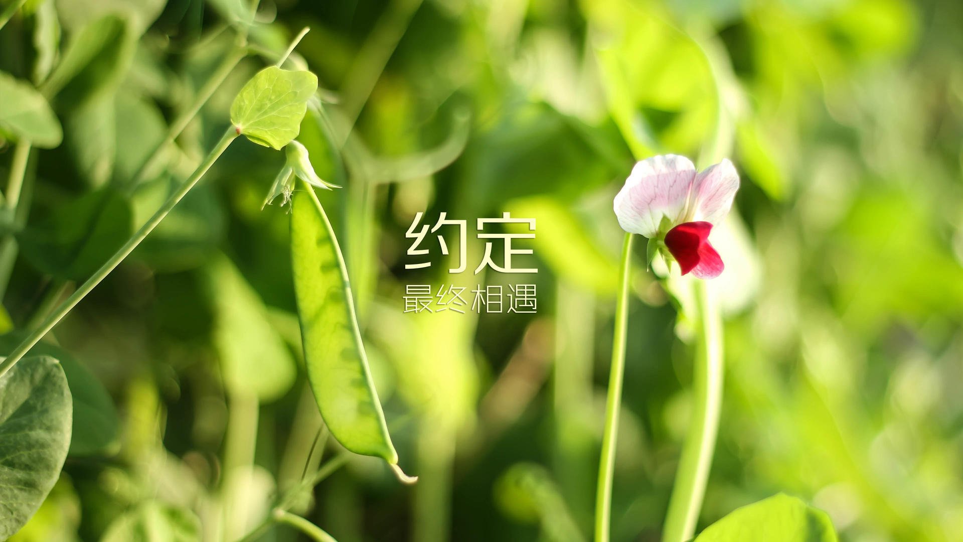 九游游戏中心官网-CBA联赛推动媒体合作拓展影响力，cba合作的品牌或者企业