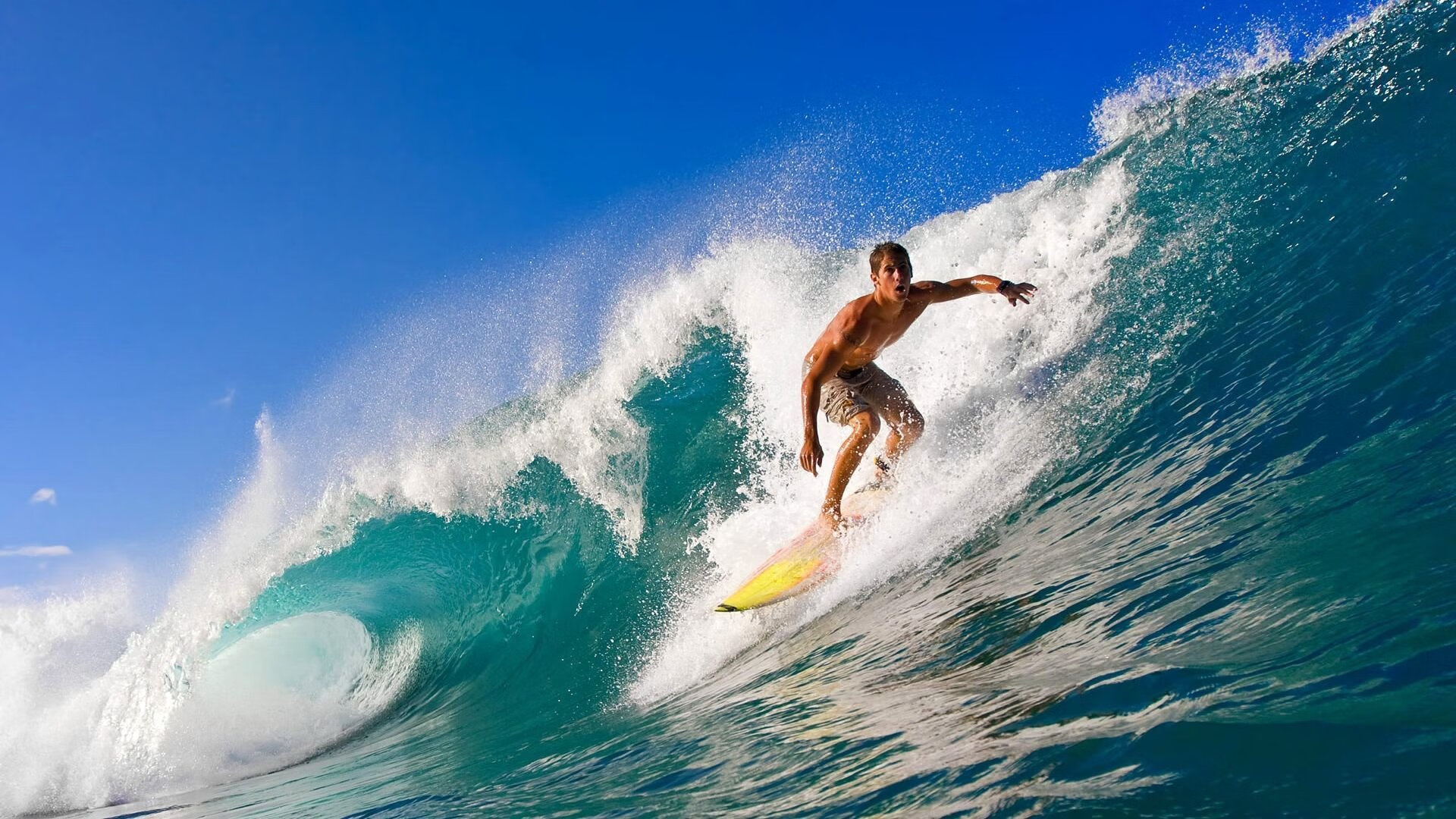 2025年度最佳电竞玩家评选揭晓，年度电竞排行