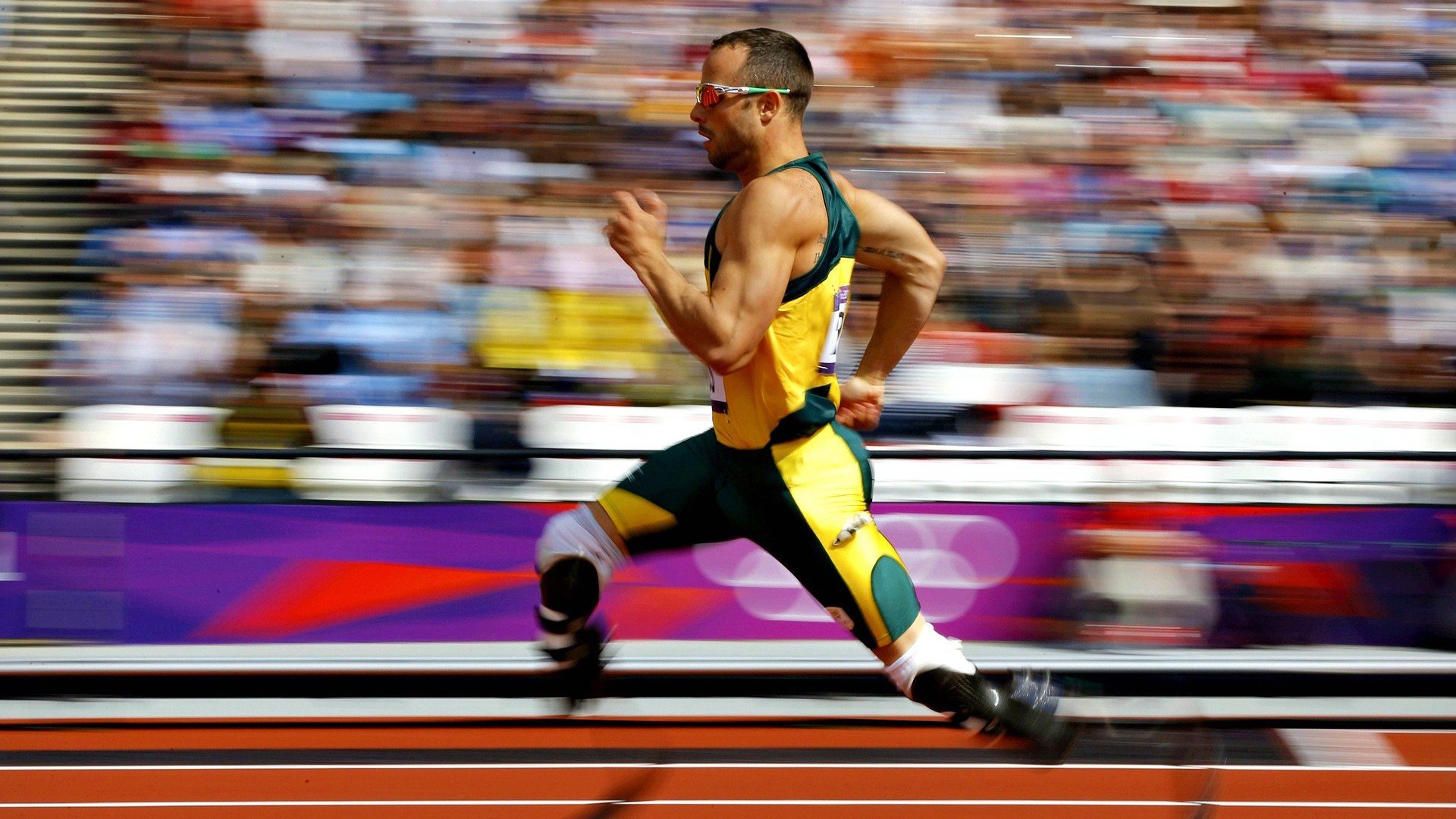 海岸线纸风筝竞风赛，空中艺术的极限飞扬